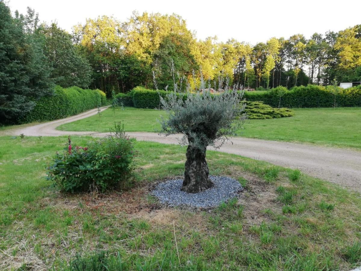 Le Gite Du Parc La Coquille Exteriör bild